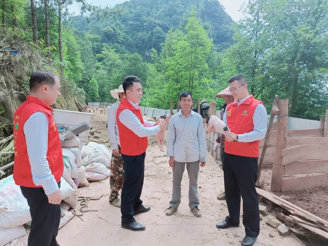 宁明.png 宁明.png