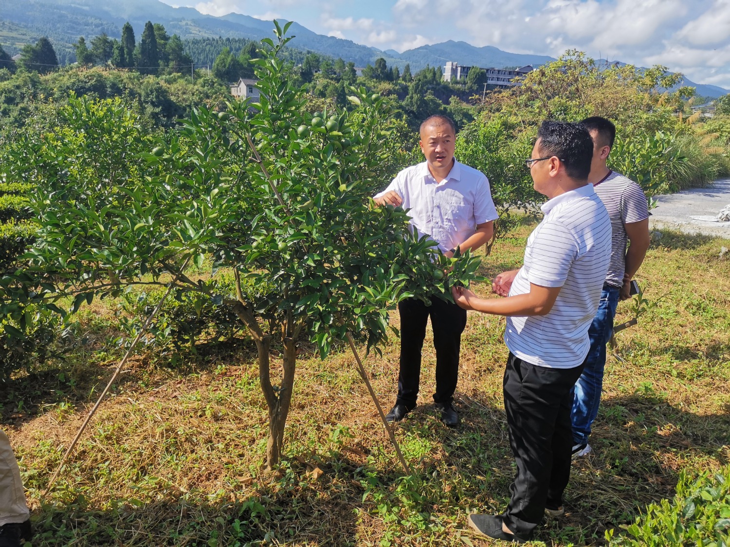 微信图片_20230222171314.jpg 微信图片_20230222171314.jpg