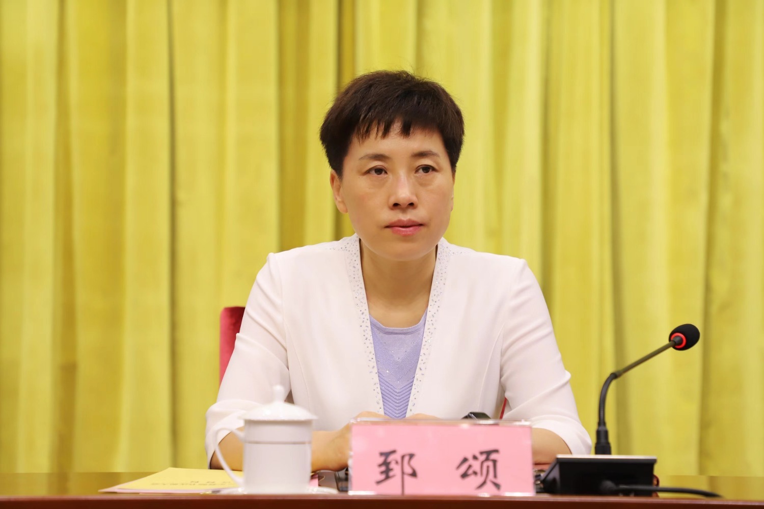 济南钢城区委书记郅颂:以"立德树人本心"建成"鲁中