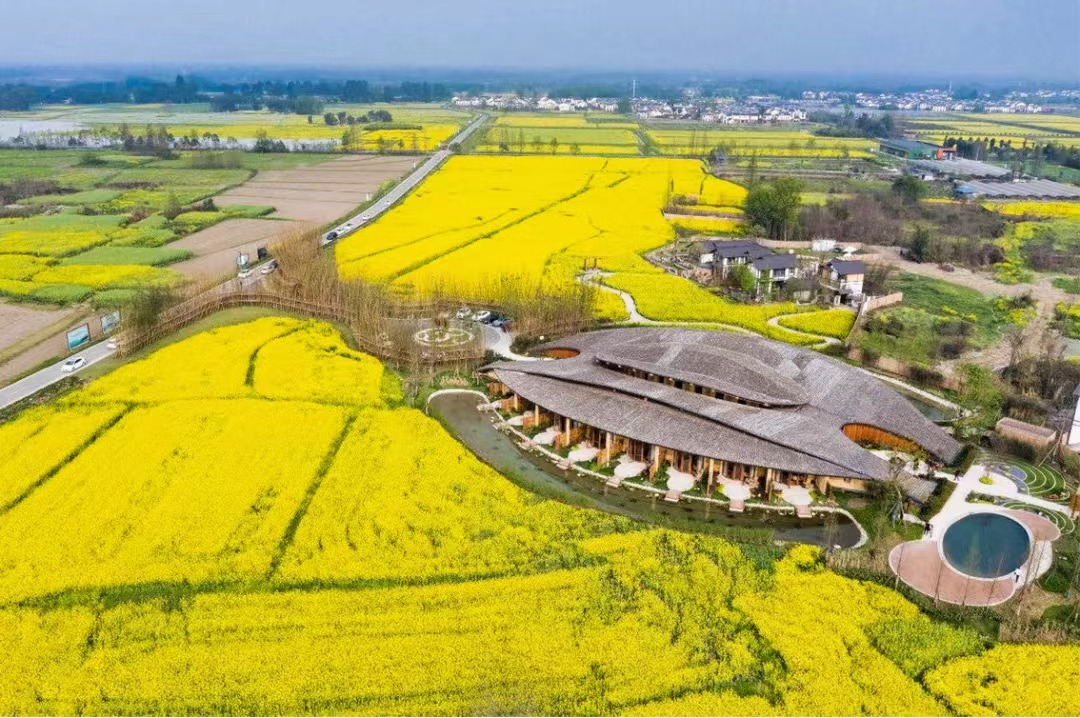 微信图片_20230130140203.jpg 微信图片_20230130140203.jpg