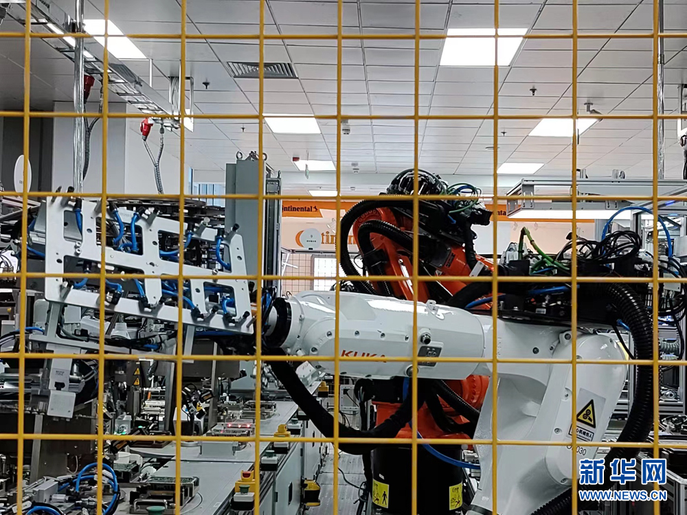 1129377928_16768250076581n 1129377928_16768250076581n