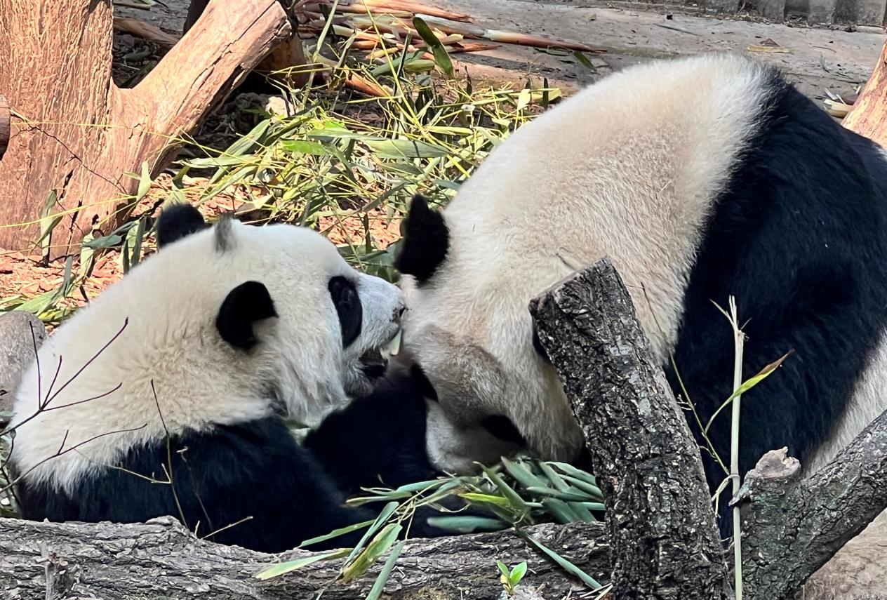 图片1.png 图片1.png