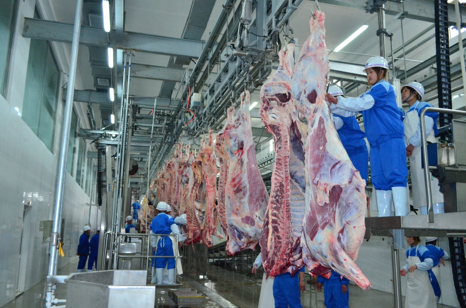 民族企业屠宰车间_看图王.jpg