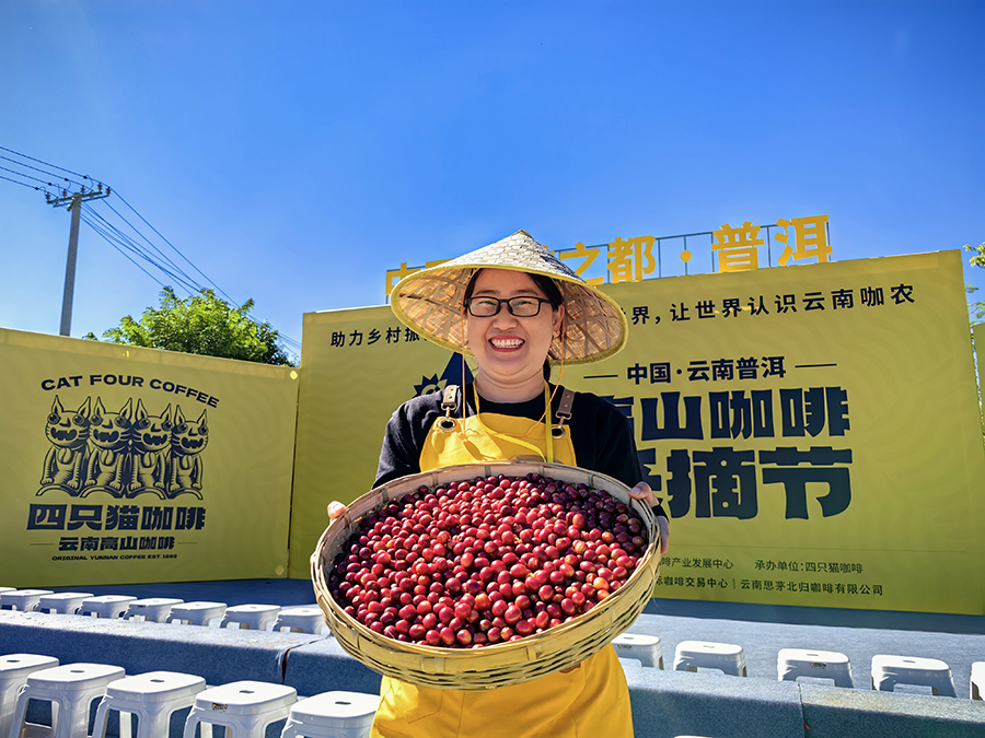 18 2022年首届中国·云南普洱高山咖啡采摘节上，参赛选手展示自己的采摘比赛成果。新华网 刘起 摄.jpg