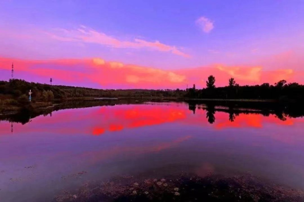 1129364215_16763624246681n