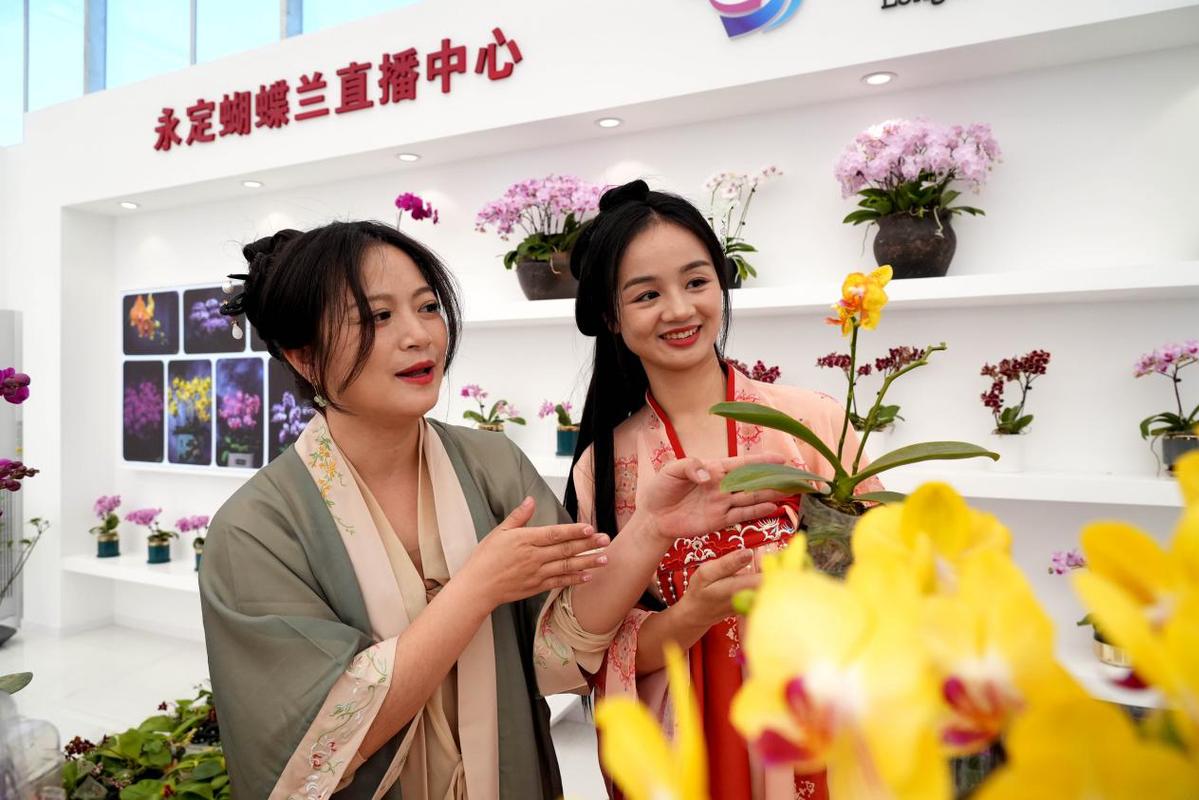 63f6a6dda3102ada7c83a7c2