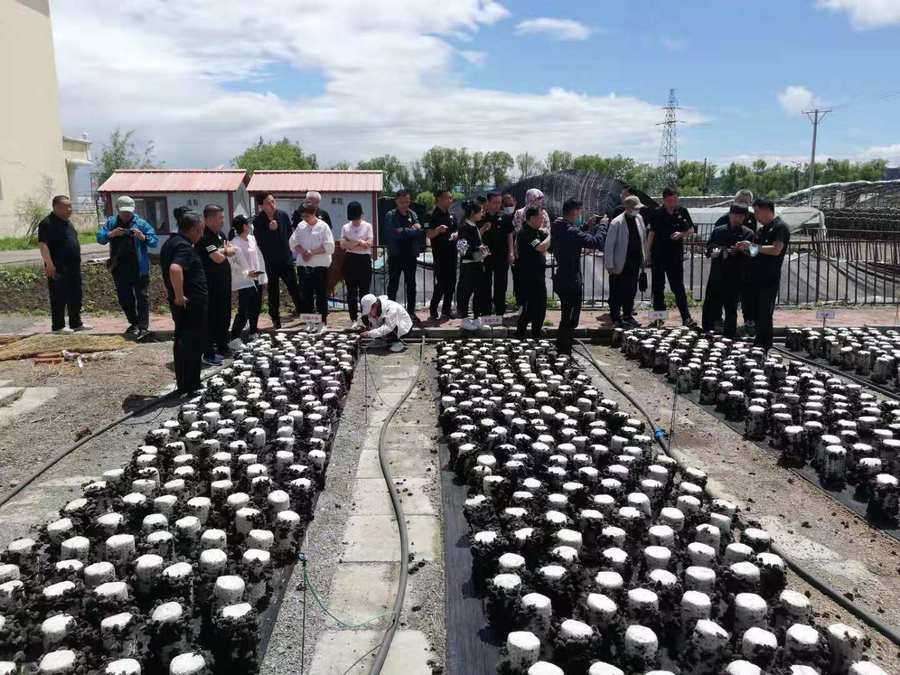 微信图片_20210621092054