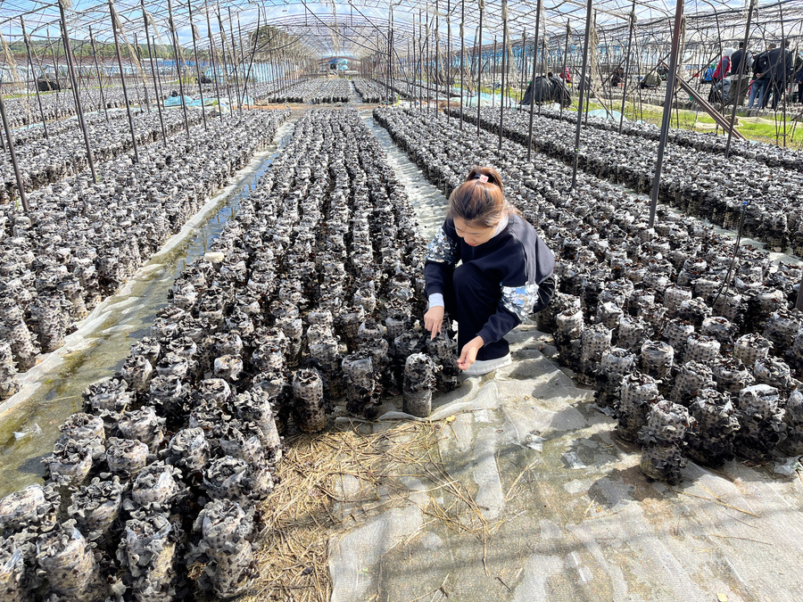 3285dd37be6e98cedcd6176c3f8cf5f