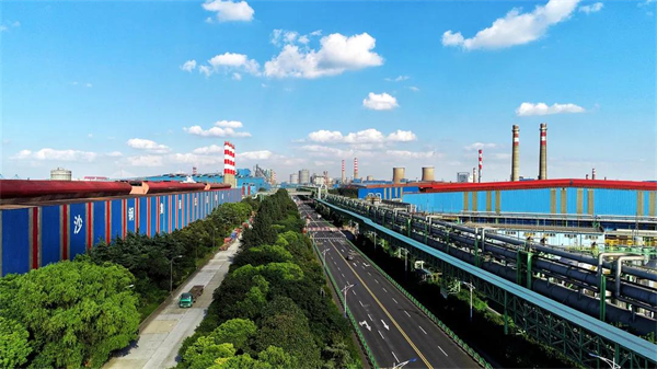 1128022969_16358434113431n