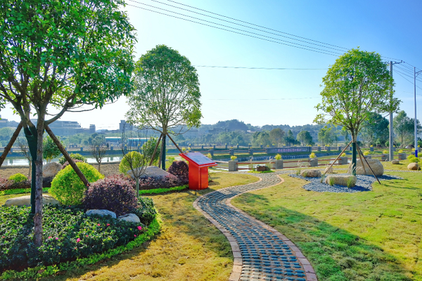 安沙镇新华村芦头美丽宜居村庄 (2).png