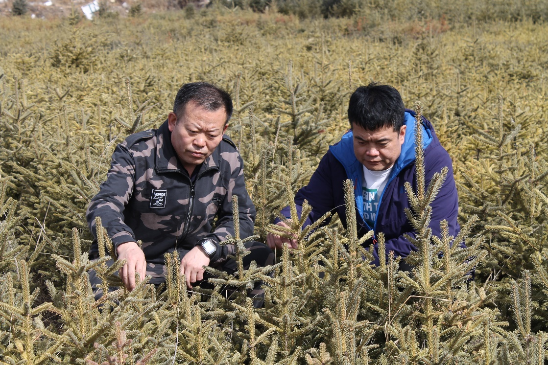 cbb873e5c2aa470c8d651d271e54629c