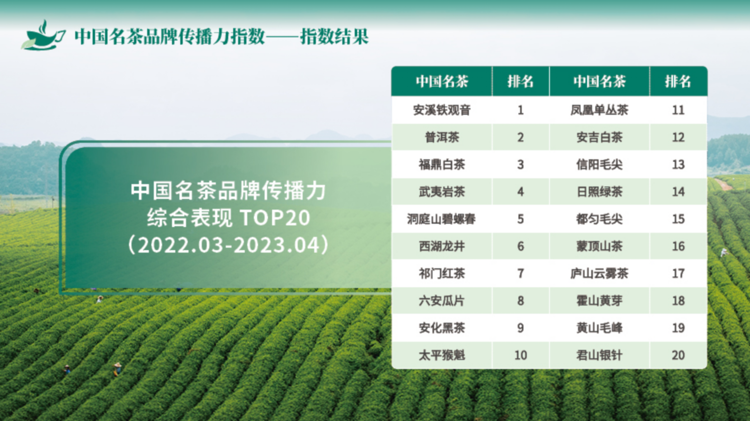 （终终）中国名茶指数ppt_12.png